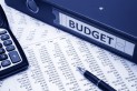 Vote du débat d'orientation budgétaire et du budget primitif au titre de l'exercice 2020